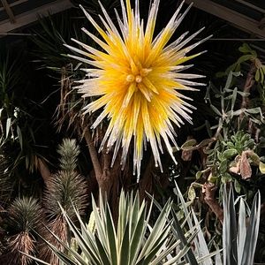 Meet your Posher, Sunny.